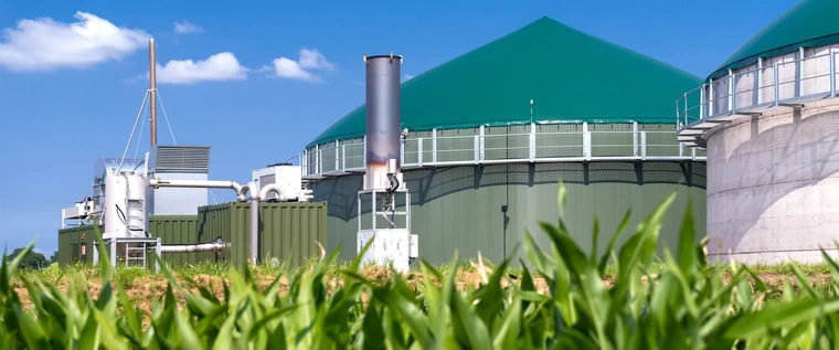 Biomass Energy What Are The Key Conclusions