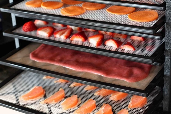 Solar Dehydrator